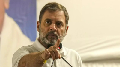'AICC tried to revive AJL': Rahul Gandhi's counsel in Herald case