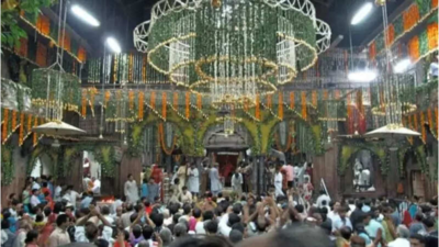 SC sets up panel led by ex-HC judge for Banke Bihari temple